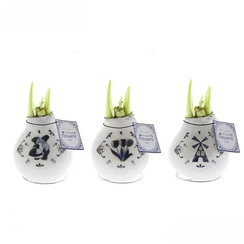 No Water Flowers® - Craftz Delfts Blue mix